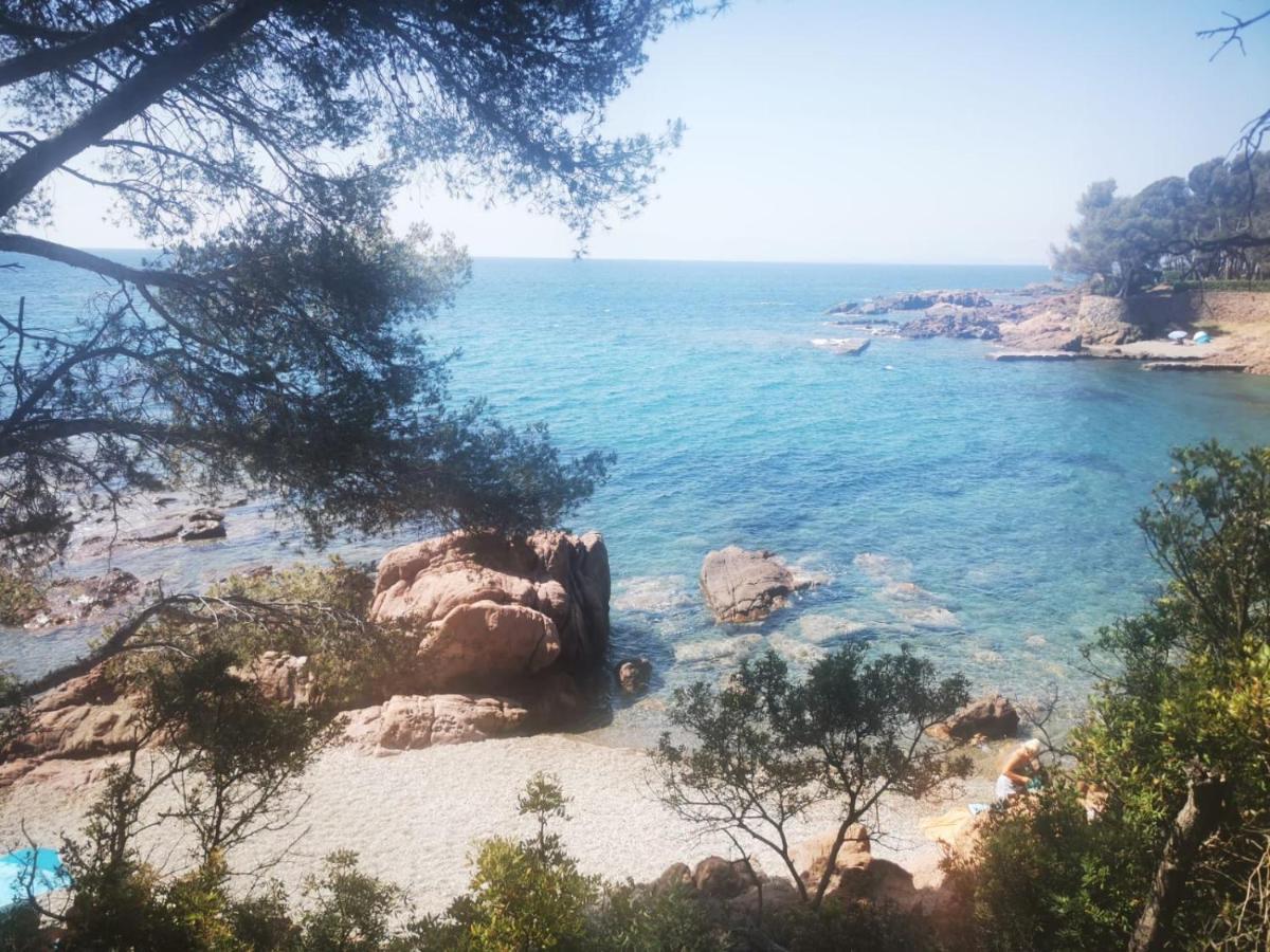 Mobil Home Neuf Camping L Ile Dor Plage St Raphael Avec Piscine Saint-Raphaël 外观 照片