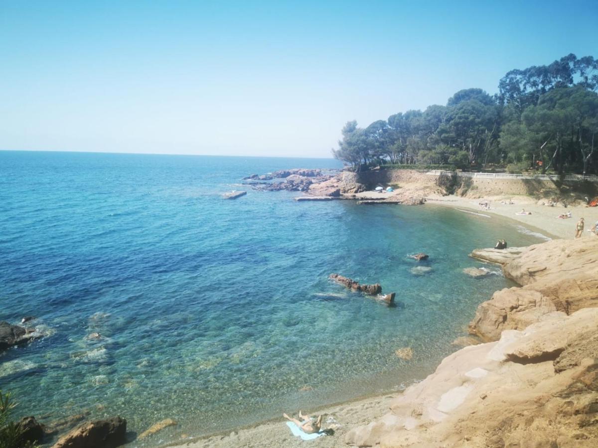 Mobil Home Neuf Camping L Ile Dor Plage St Raphael Avec Piscine Saint-Raphaël 外观 照片